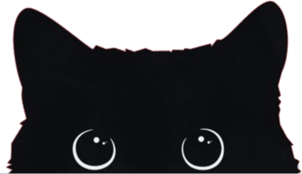 A kitten peeking over the bottom of the card